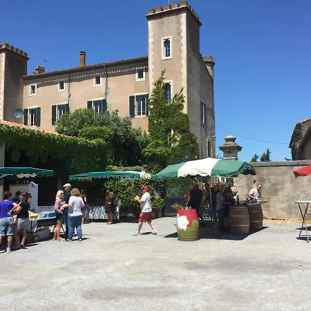 Σπίτι διακοπών Chateau De Douzens *